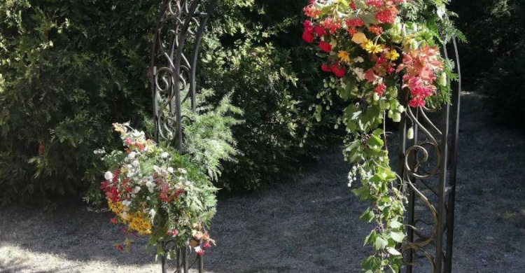 Аллея молодоженов и кованная беседка украсили ботанический сад в Кривом Роге (ФОТО, ВИДЕО)