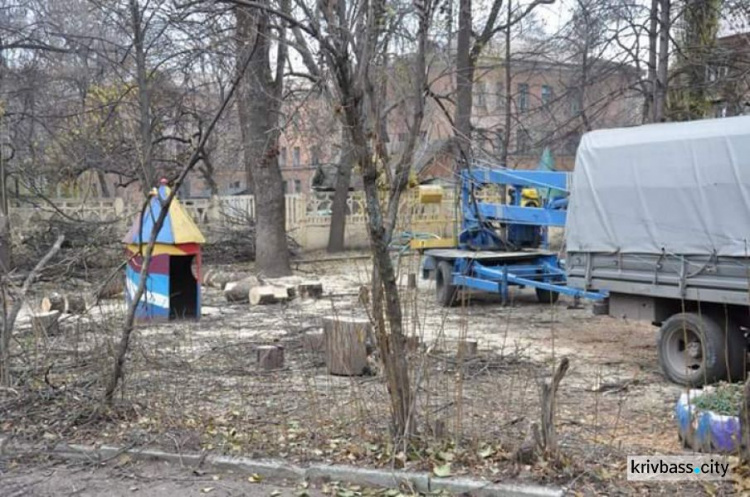 Территорию детского сада № 44 Кривого Рога очистили от аварийных деревьев (ФОТО)