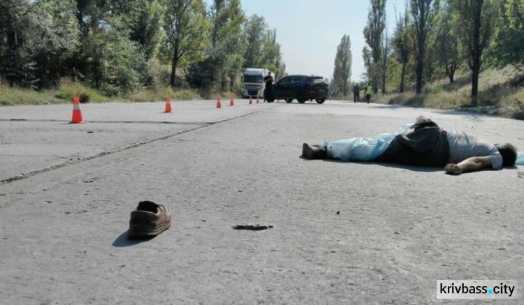 На объездной дороге Кривого Рога внедорожник насмерть сбил мужчину (ФОТО)