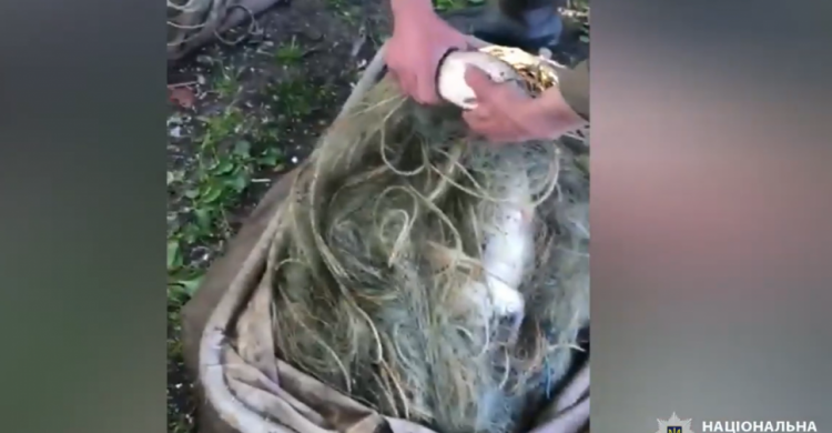 Незаконний вилов риби: на Дніпропетровщині затримали двох браконьєрів