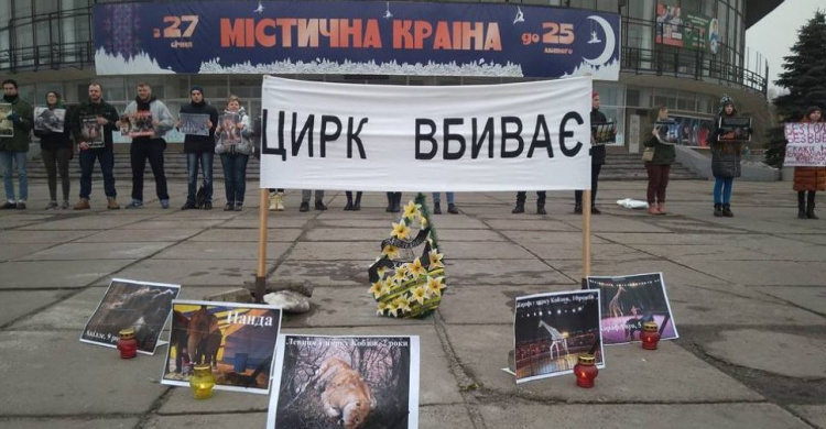 В Кривом Роге зоозащитники пикетировали цирк