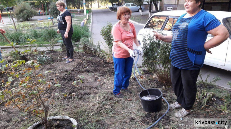 Жители улицы Водопьянова в Кривом Роге облагородили цветник (ФОТОФАКТ)