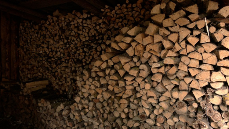Українці отримають безкоштовно 5 000 вагонів дров: хто може розраховувати на допомогу?