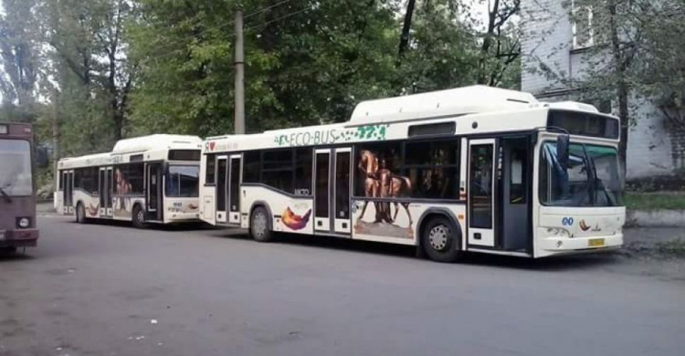 В Кривом Роге на автобусном маршруте введена остановка "по требованию" (СПИСОК)