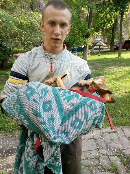 В Кривом Роге студент спас собаку, которая упала в открытый люк и просидела там неделю (фото)