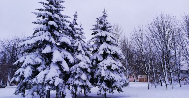 На Рождество в Кривом Роге усилится мороз: чего ждать от погоды в ближайшие дни
