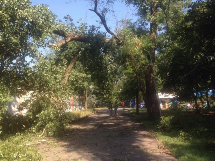 В Кривом Роге парк Мершавцева просит помощи горожан в борьбе с последствиями бури (фото)