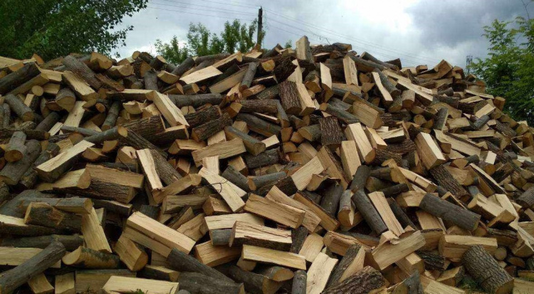 Отримати безкоштовно паливну деревину від держави: що треба пам’ятати?