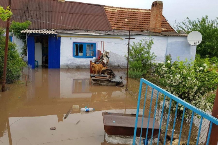 Под Кривым Рогом в затопленном посёлке ведутся работы по откачке воды в домах (фото)