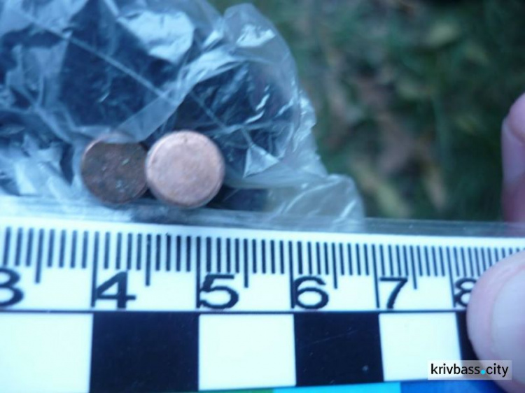 Для личного использования: в Кривом Роге полицейские изъяли 101 патрон и 1 кг марихуаны