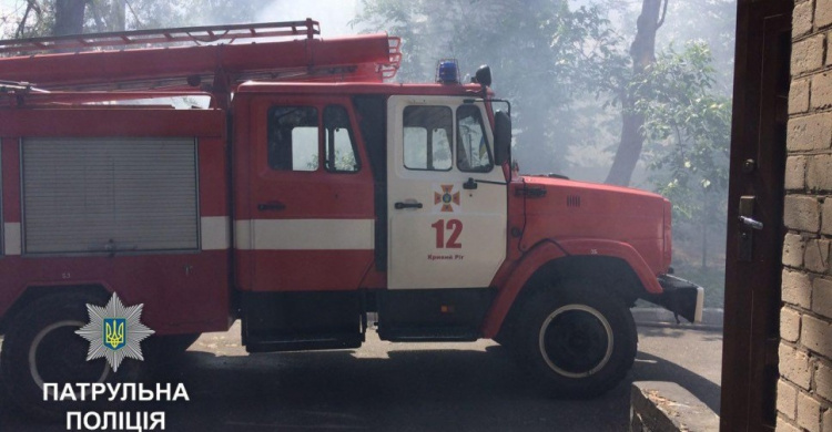 Спасатели Кривого Рога борются с возгоранием лесополосы (ФОТО)