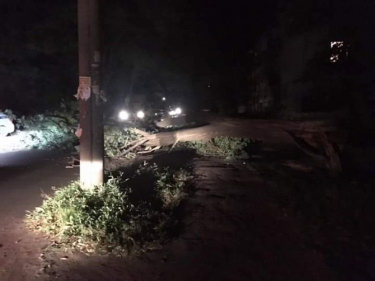 В Кривом Роге сильный ветер вырвал деревья и обесточил улицы (ФОТО)
