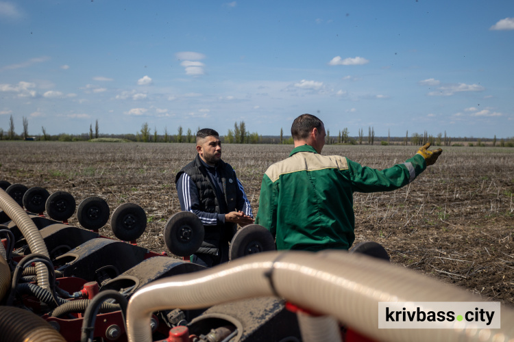 Посівна на Дніпропетровщині: засіяли майже 35% гороху, пшениці, ячменю та кукурудзи