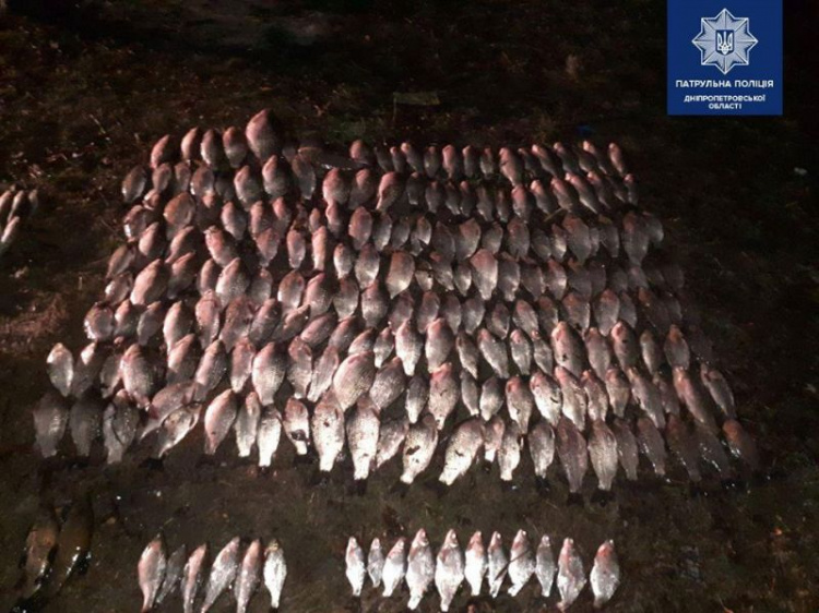 На Днепропетровщине выявили браконьеров с уловом на сумму более 100 тысяч гривен (фото)