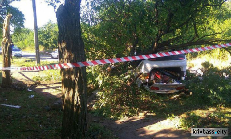 В Кривом Роге иномарка снесла дерево и перевернулась, водитель угодил в больницу 
