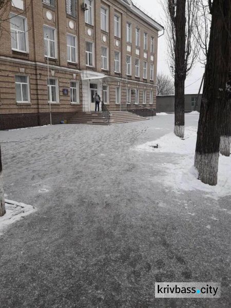 Учебные заведения Кривого Рога вышли на расчистку снега (ФОТОФАКТ)