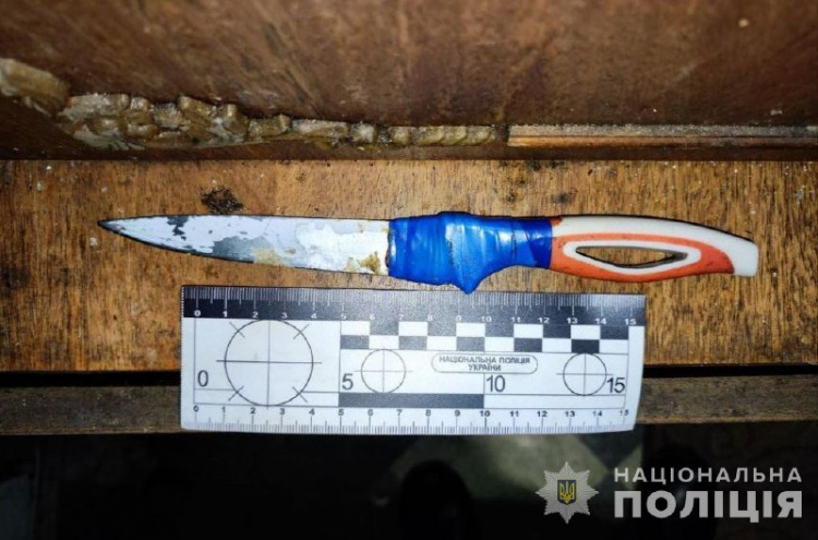 Приклалася до смерті: у Кривому Розі правоохоронці затримали нападницю з кухонним ножем