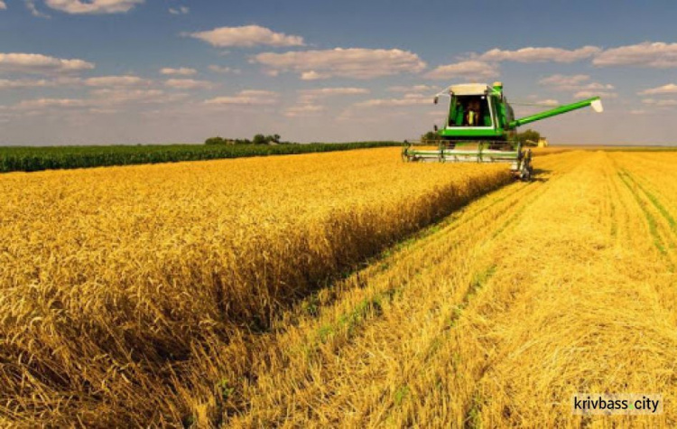 Днепропетровщина лидирует среди областей Украины по количеству собранных ранних зерновых