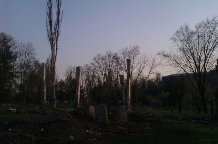 В Кривом Роге в результате "омоложения" от деревьев остаются одни пеньки (ФОТОФАКТ)