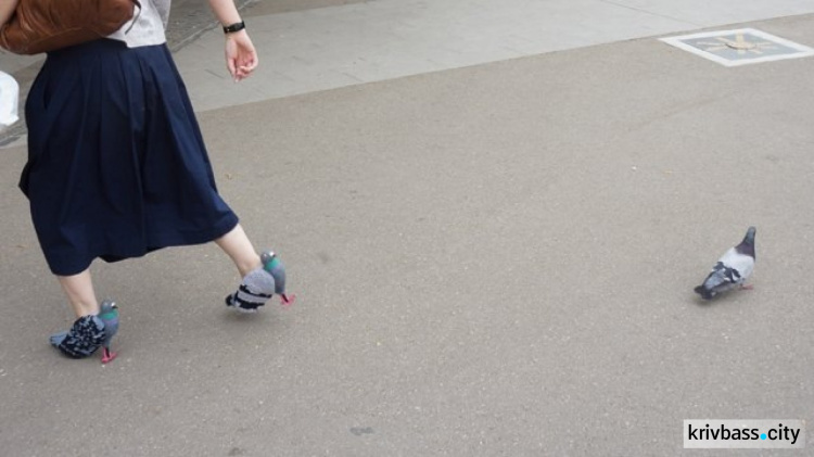 Туфли-голубки: японка создала необычную обувь (ФОТО)