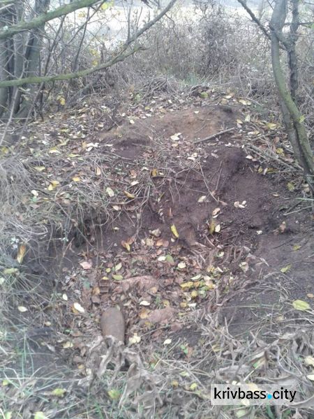 В Криворожском районе было обнаружено семь мин (ФОТО)