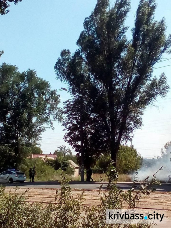 В Кривом Роге по улице Лавроненко произошел пожар (ФОТО)