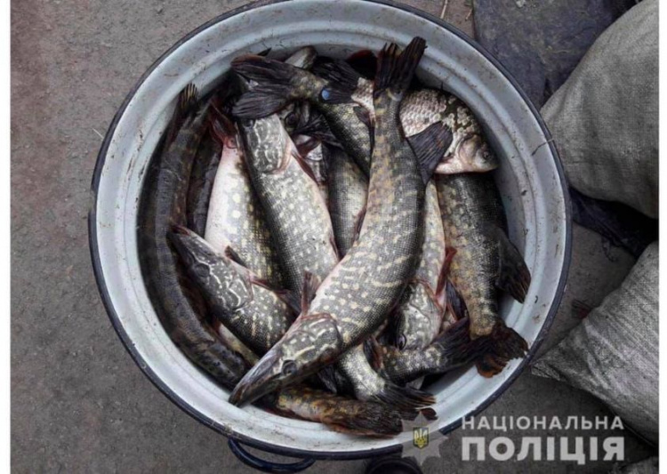 Порыбачили: в Кривом Роге двое мужчин попались на незаконном вылове рыбы