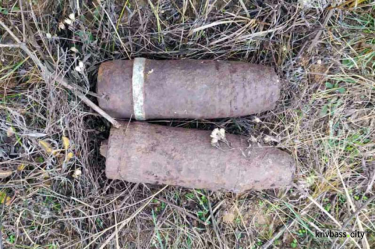 Под Кривым Рогом мужчина на пастбище обнаружил два снаряда