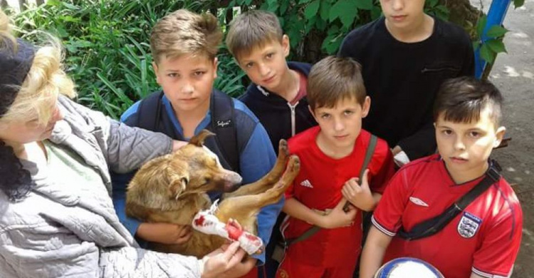 Минутка доброты: криворожские школьники спасли четвероногого друга (ФОТО)