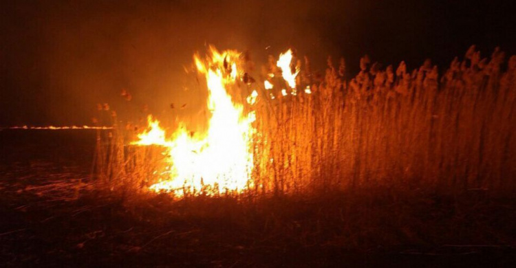 За минувшую неделю в Кривом Роге спасатели 69 раз выезжали на пожары 