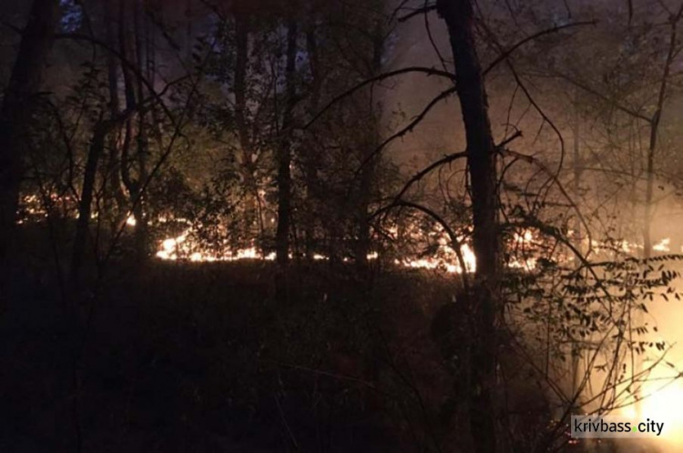 В Широковском районе выгорело 8 гектаров леса