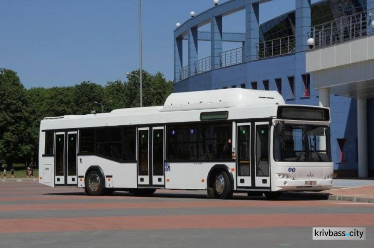 Тендер: в Кривой Рог поставят 11 новых автобусов производства Беларуси (ФОТО)
