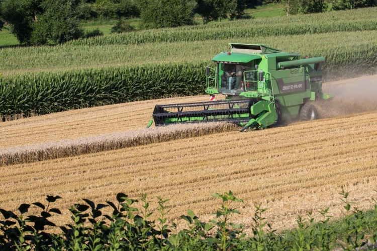 Аграрии Днепропетровщины собрали более 2,7 млн тонн зерна