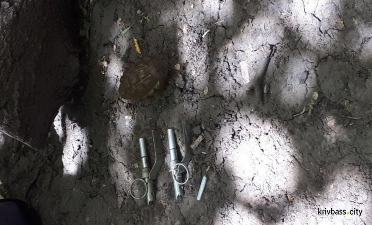 В Кривом Роге возле многоэтажного дома нашли гранату (ФОТО)