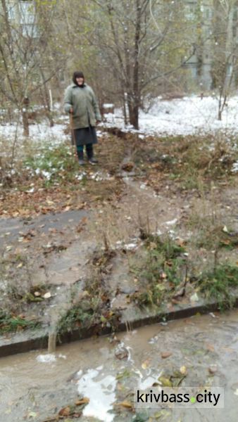 Жители Кривого Рога жалуются, что вода уже месяц затапливает их погреба (фотофакт)