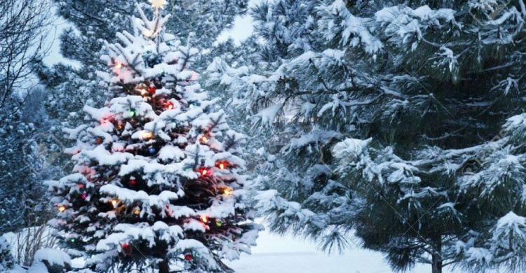 Погода в Кривом Роге в новогоднюю ночь: что обещают синоптики