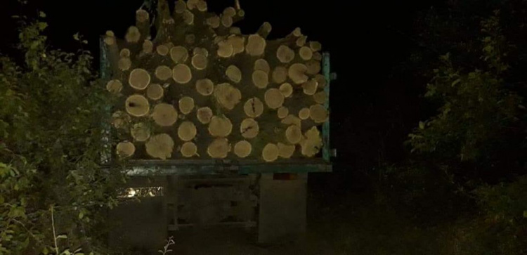 За незаконную вырубку деревьев Криворожские правоохранители задержали мужчину (фото)