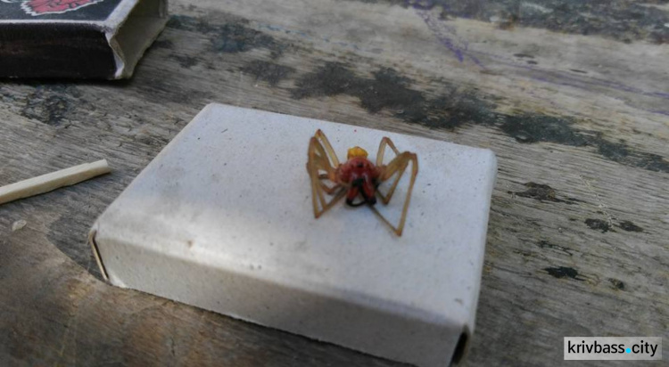 Вблизи Кривого Рога обнаружили опасных пауков (ФОТО+ВИДЕО)