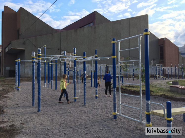 В центре Кривого Рога сделали тренажёрный комплекс под открытым небом (ФОТО)