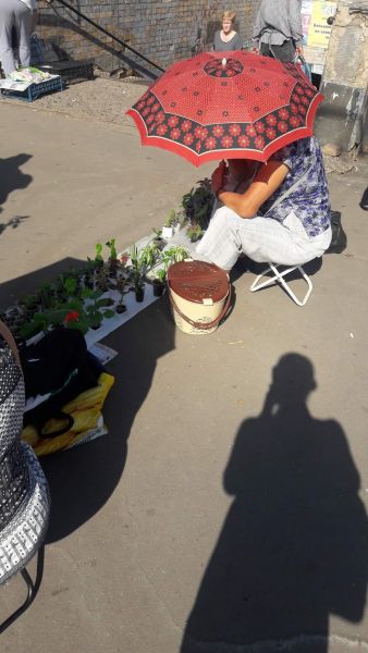 Борьба с "продавцами с земли": в Кривом Роге провели рейд рядом с рынком "Центральный" (фото)