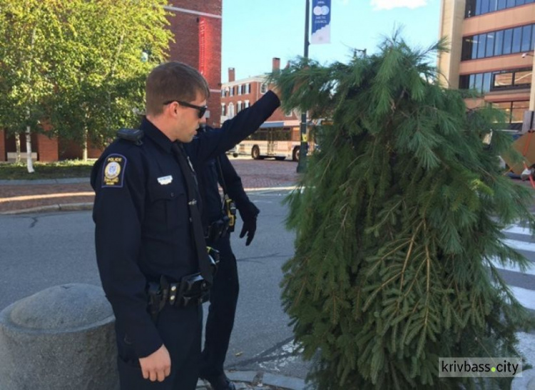 В США арестовали "человека-дерево" (ФОТО+ВИДЕО)