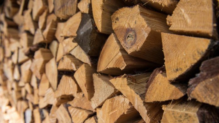 Громади Дніпропетровщини отримають дрова: Уряд затвердив допомогу для прифронтових територій на зиму