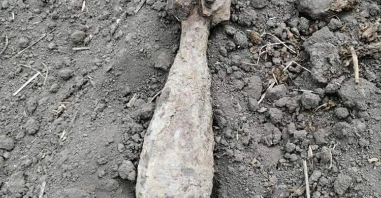 В Криворожском районе во время работ в поле нашли минометную мину (фото)
