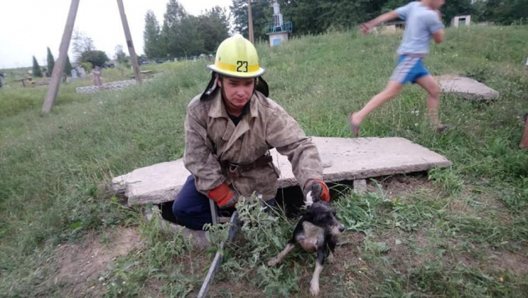 Спасатели Кривого Рога достали из 3-х метрового колодца собаку