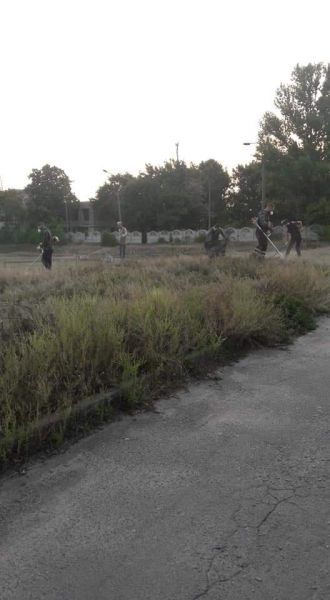 Активные жители одного из районов Кривого Рога объявили войну амброзии (фото)