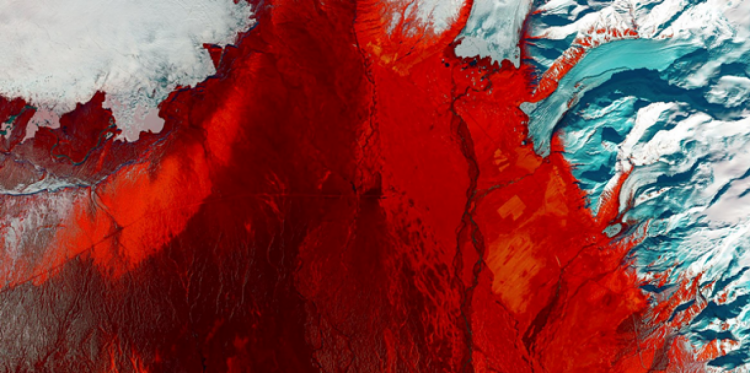 NASA показало красочные инфракрасные снимки Земли (ФОТО)