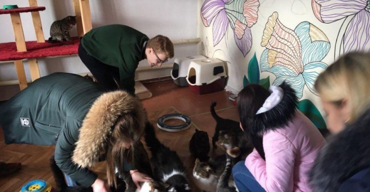 В Кривом Роге студенты КГПУ провели благотворительную акцию помощи бездомным животным