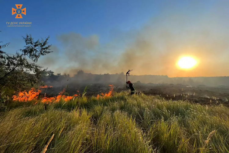 Небезпечна спека: на Дніпропетровщині значно зросла кількість пожеж в екосистемі