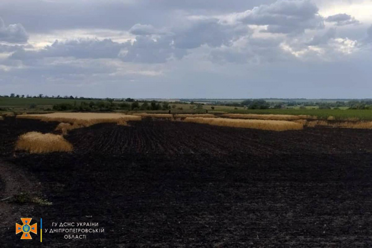 У Софіївці на Криворіжжі вогонь знищив 3 га пшениці