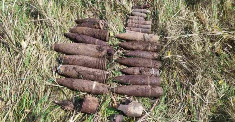 В Криворожском районе историко-поисковая организация обнаружила 28 боеприпасов (фото)